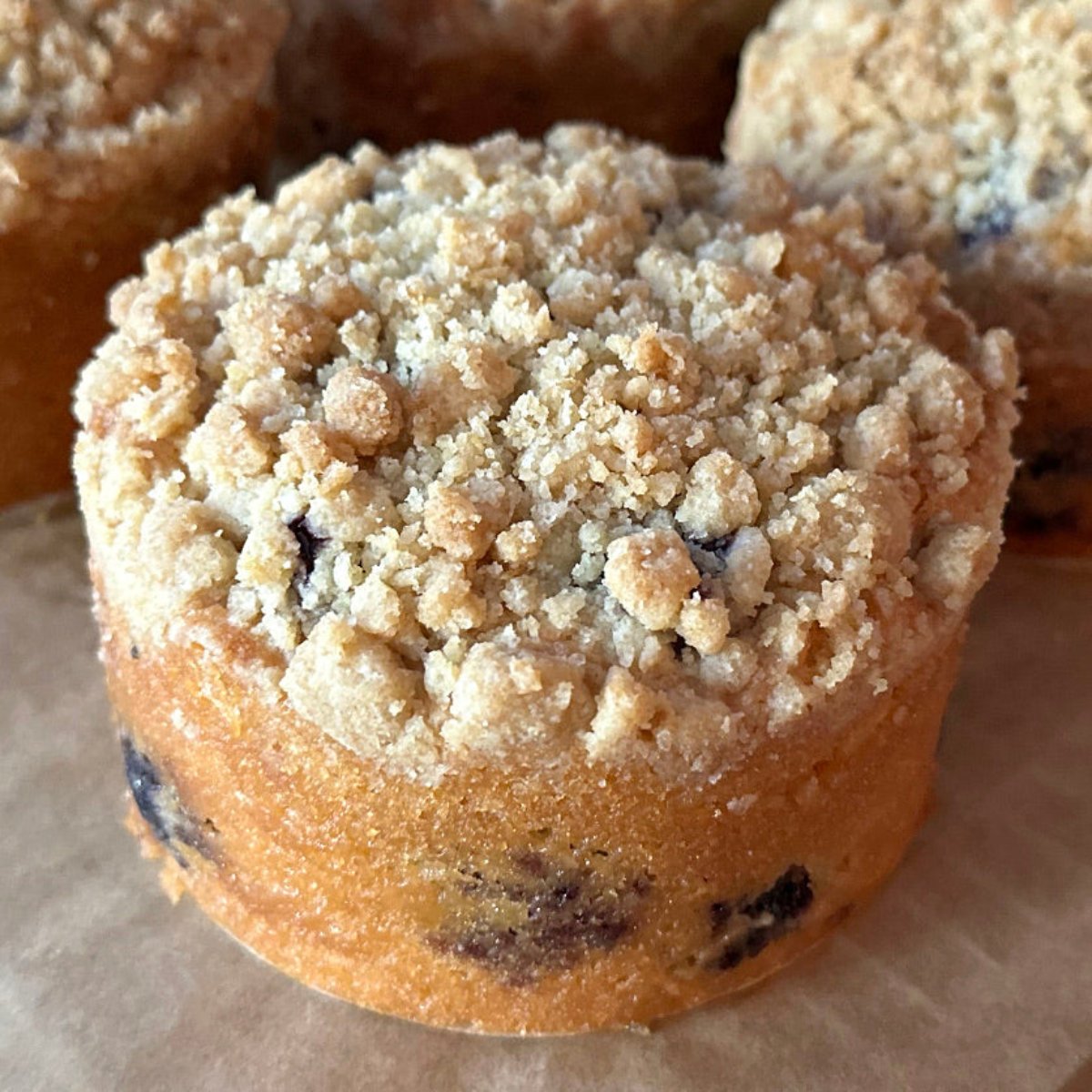 Vegan * Blueberry Lemon Crumb Cake