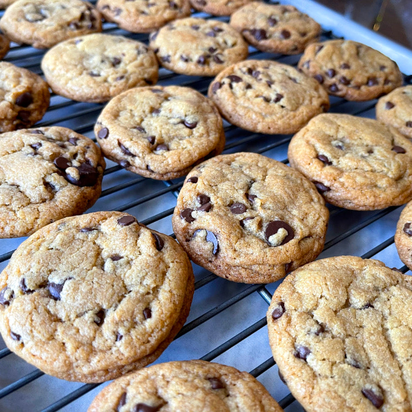 Vegan & Gluten Free Tahini Chocolate Chip Cookie Pack - (8 pk)